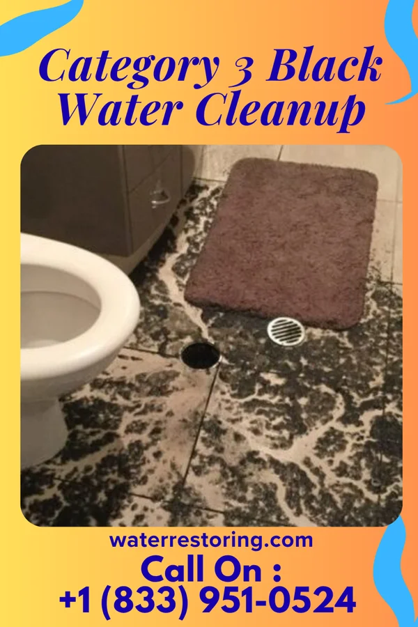 Category 3 Black Water Cleanup in Germantown, IL